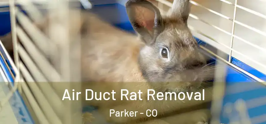  Air Duct Rat Removal Parker - CO