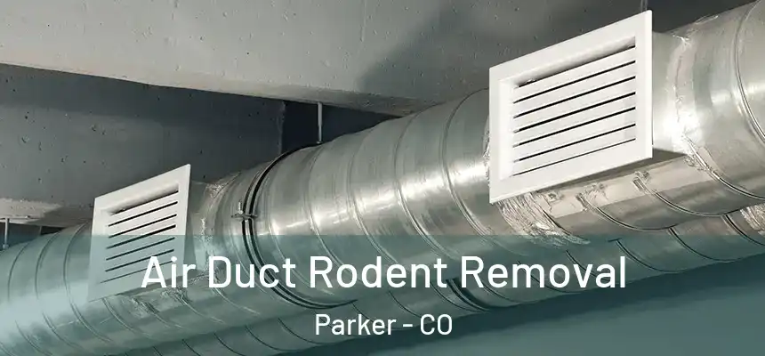  Air Duct Rodent Removal Parker - CO
