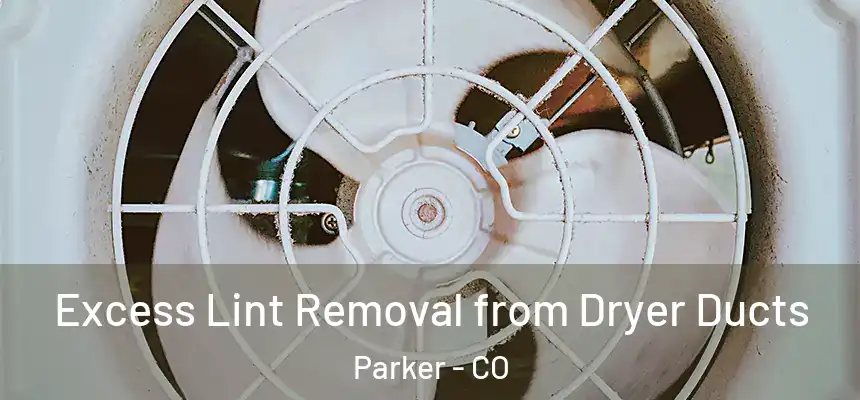  Excess Lint Removal from Dryer Ducts Parker - CO