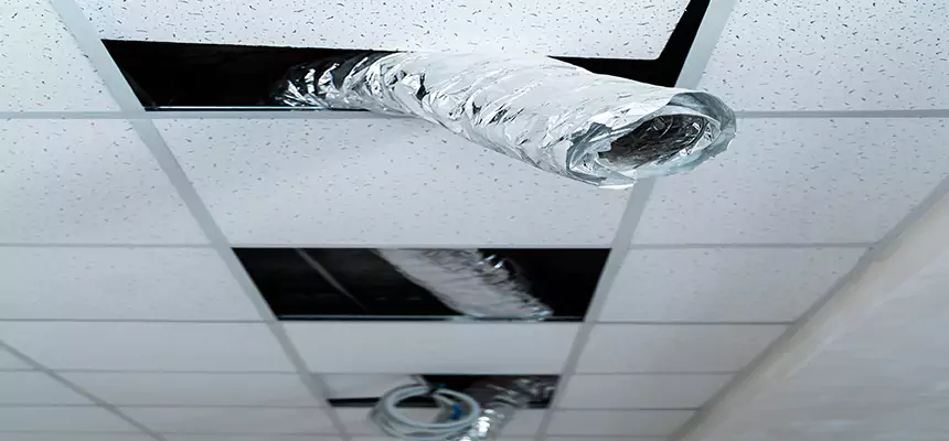 Affordable HVAC Sanitizing After Pest Removal in Parker