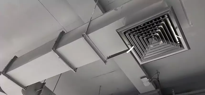 Restorative Allergy Relief Vent Cleaning – Coil, Blower & Housing Detail in Parker