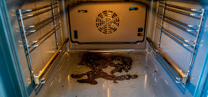 Our Dryer Vent Mold Cleaning Services in Parker, CO