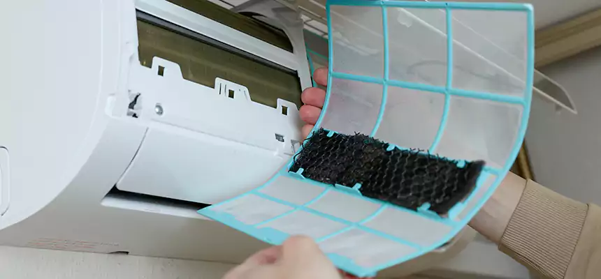 Gentle Ductwork Odor-Control Pet Dander Duct Cleaning in Parker, CO