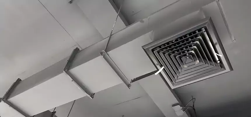 Our Rodent Droppings In Vents Services in Parker, CO