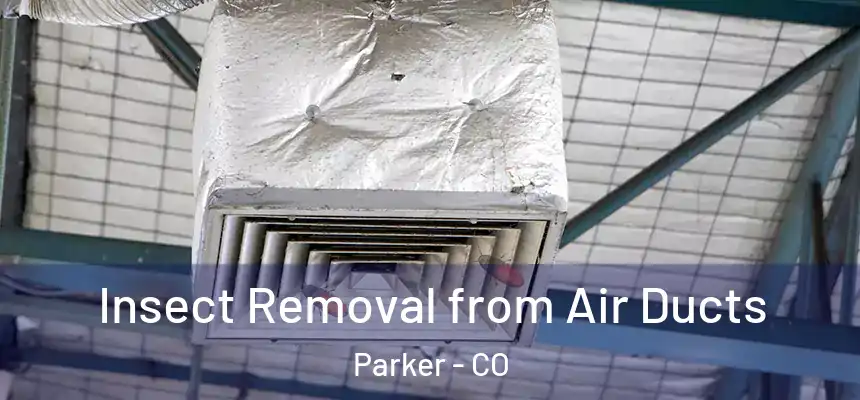  Insect Removal from Air Ducts Parker - CO