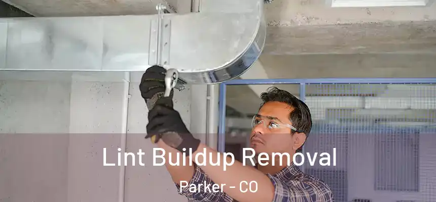  Lint Buildup Removal Parker - CO