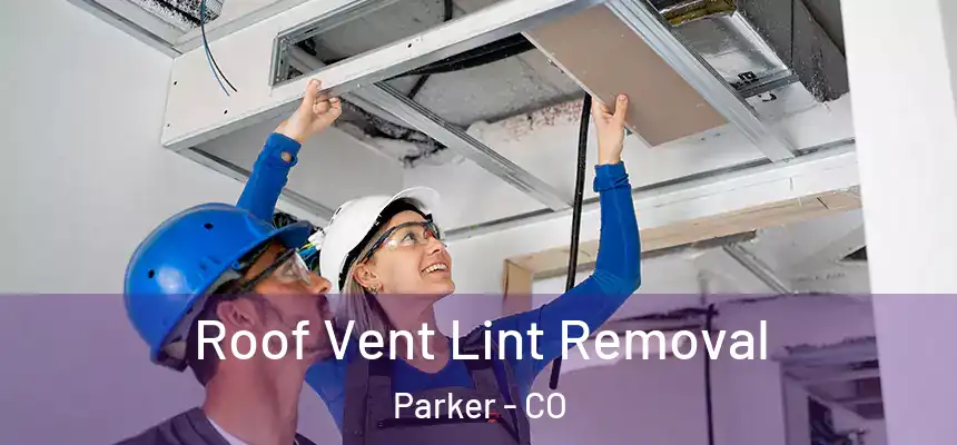  Roof Vent Lint Removal Parker - CO