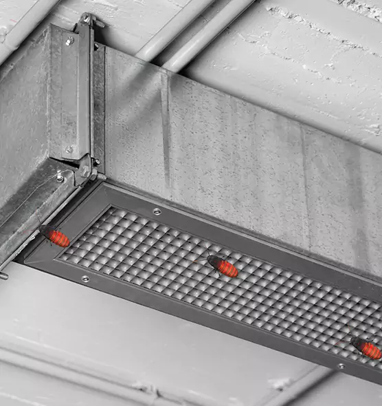 About Air Duct Cockroach Removal in Parker, CO