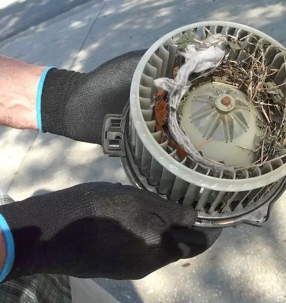 About Air Duct Mice Removal in Parker, CO