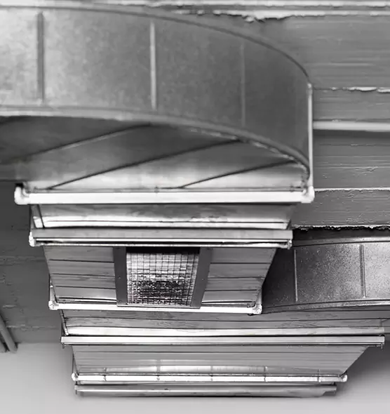 Professional Air Duct Pet Hair Removal in Parker, CO