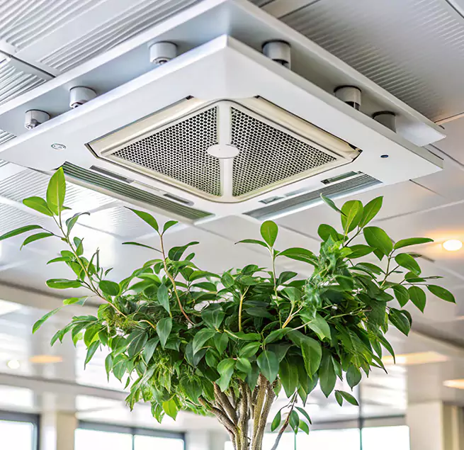 Why Homeowners & Businesses Trust Us in Parker, CO?