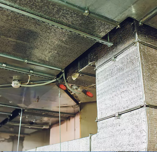 Why Homeowners & Businesses Trust Us Parker, CO?